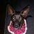 Sherrie Pirkle Gentry's profile image