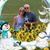 Nancy Karas's profile image