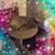 Maureen Gilligo's profile image
