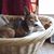 Kitty Huffman LeMarr's profile image