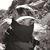 Lorenzo Larry MA's profile image