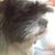 Bettina Tina Hudson's profile image