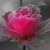 Carolyn Koberstein's profile image
