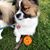 Kimberly Kenney Wright's profile image