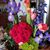 Joanne Aldredge's profile image