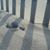 Barb Cascone's profile image
