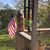 Lon Warren Colvin's profile image