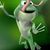 Alejandro Jaramillo Morales's profile image
