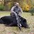 Todd Cory's profile image
