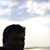 Prashant Banerjee's profile image
