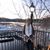 Miryana Yankovich's profile image