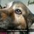 Antionette Anders's profile image