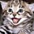 Imrereurrere Montemouse's profile image