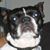 Eric Hoenes's profile image