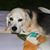 Nicole Castagnola Burkle's profile image