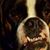Mikke Hawley's profile image