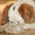 Ilse Boeren's profile image
