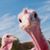 Bonnie McCrea's profile image