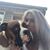 Melissa Warfield Loverde's profile image