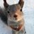 Delmar Wehr's profile image
