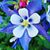 Tina Horn's profile image