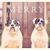 Shannon Massoth Bolinger's profile image