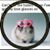 L Cheryl Elliston's profile image