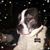 Richard Wilcox's profile image
