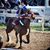 Beto Palacios Jr.'s profile image