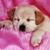 Grecia Ruelas's profile image