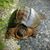 Kimberly Hamel's profile image
