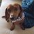 Marcy Sperling's profile image