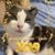 Joyce Linwood's profile image