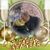 Donna Pisano Russo's profile image