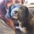 Samantha Thomas's profile image