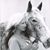 Andrea Doolittle's profile image