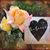 Bonnie Budwig's profile image