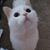 Lori Baldridge's profile image