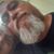 Thom Greenwood's profile image
