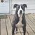 Sara Erickson Viktora's profile image