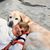 Lynda De Lano Iversen's profile image