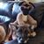 Krissy Giles's profile image