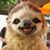 Leeann Massey Christopher's profile image