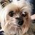 Vanessa Eller Dellinger's profile image