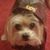 Debra Moore Ignont's profile image