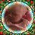 Susan Propst's profile image
