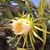 Annie Ullrich's profile image