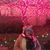 Anna Dotson's profile image