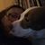 Cindy Lucas Kitchell's profile image