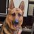 John Homich II's profile image